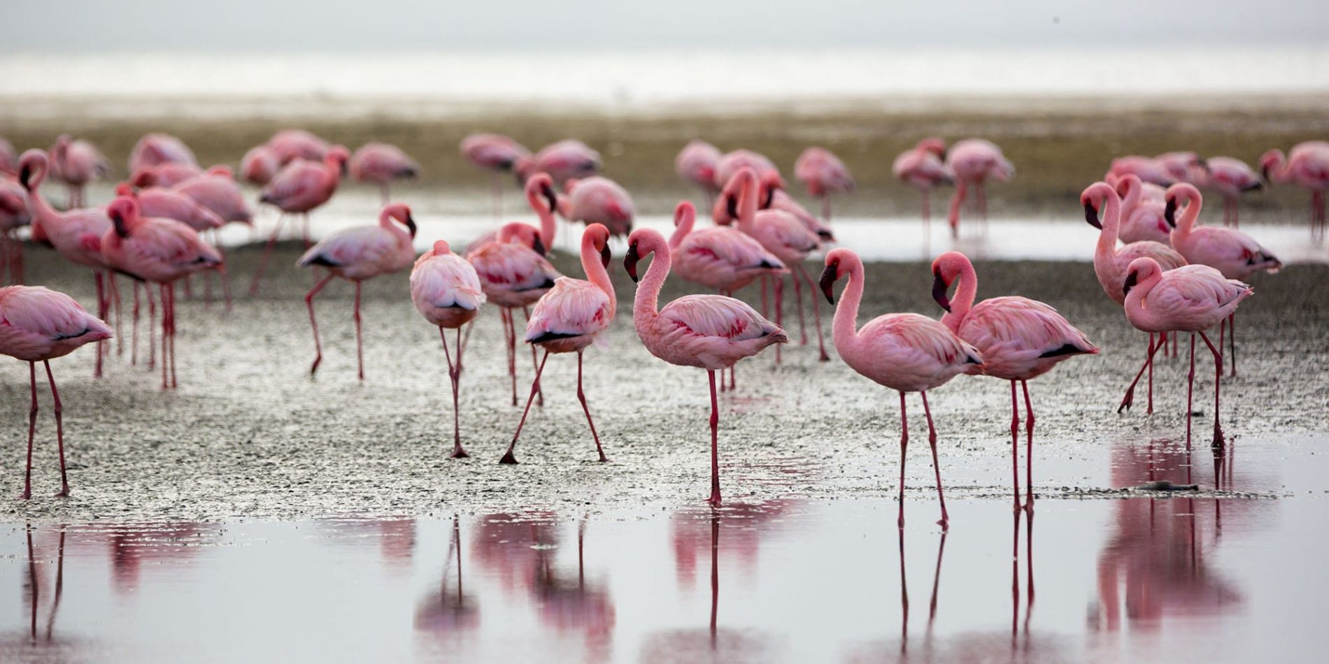 Walvis Bay, Africa