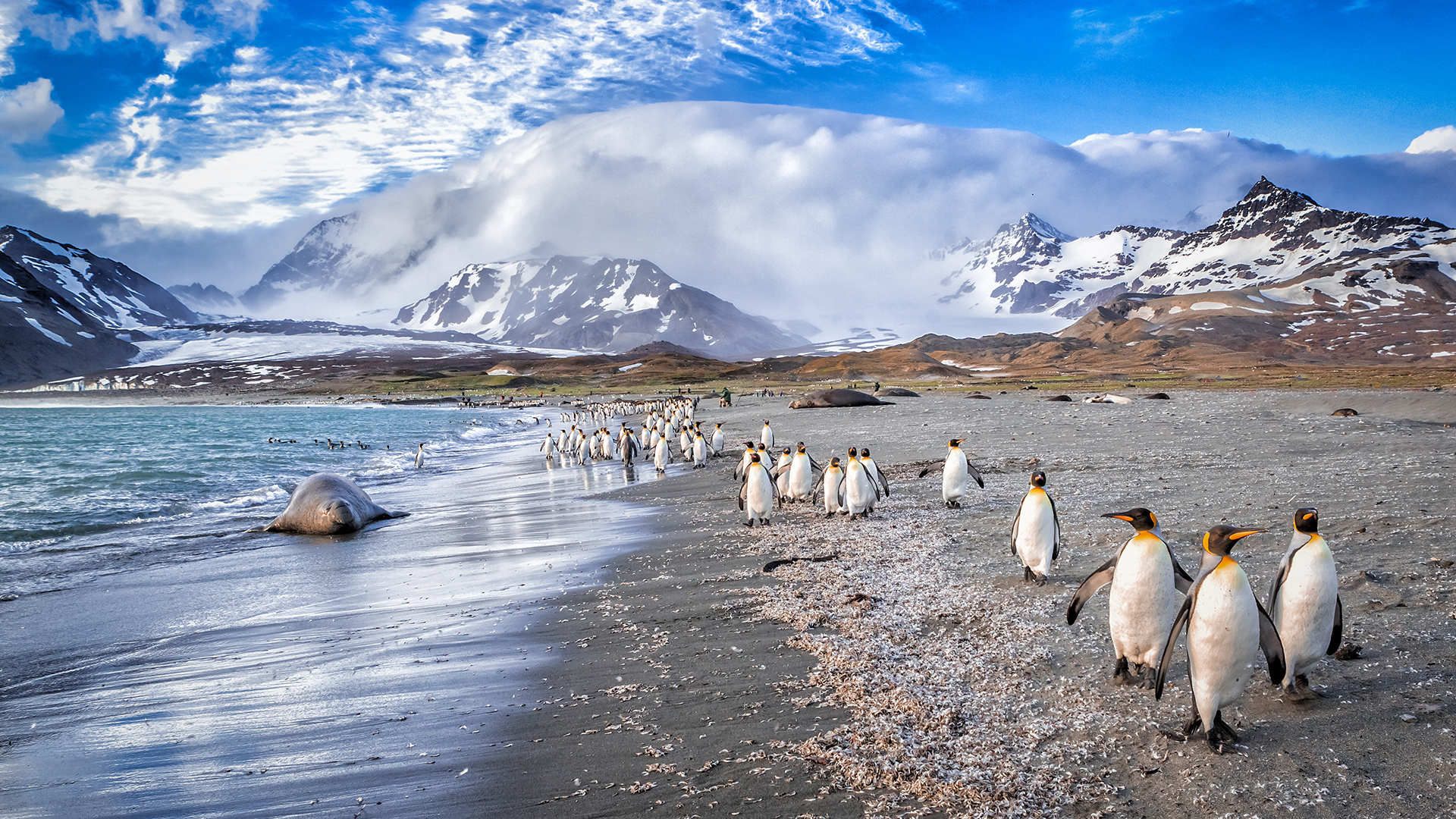 Argentine Rhythms & Antarctic Dreams 13th November 2025