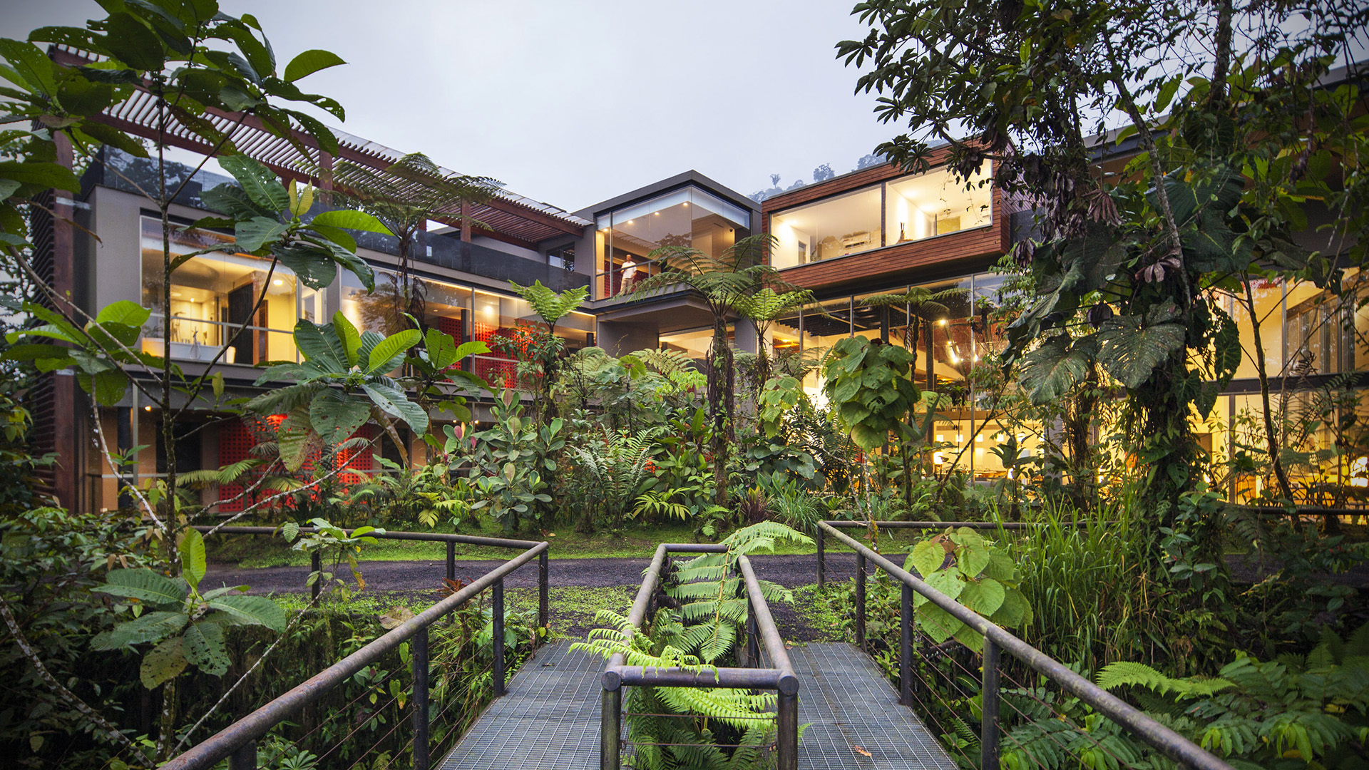 Wonders of Ecuador: From Cloud Forest to Galapagos 1st November 2025