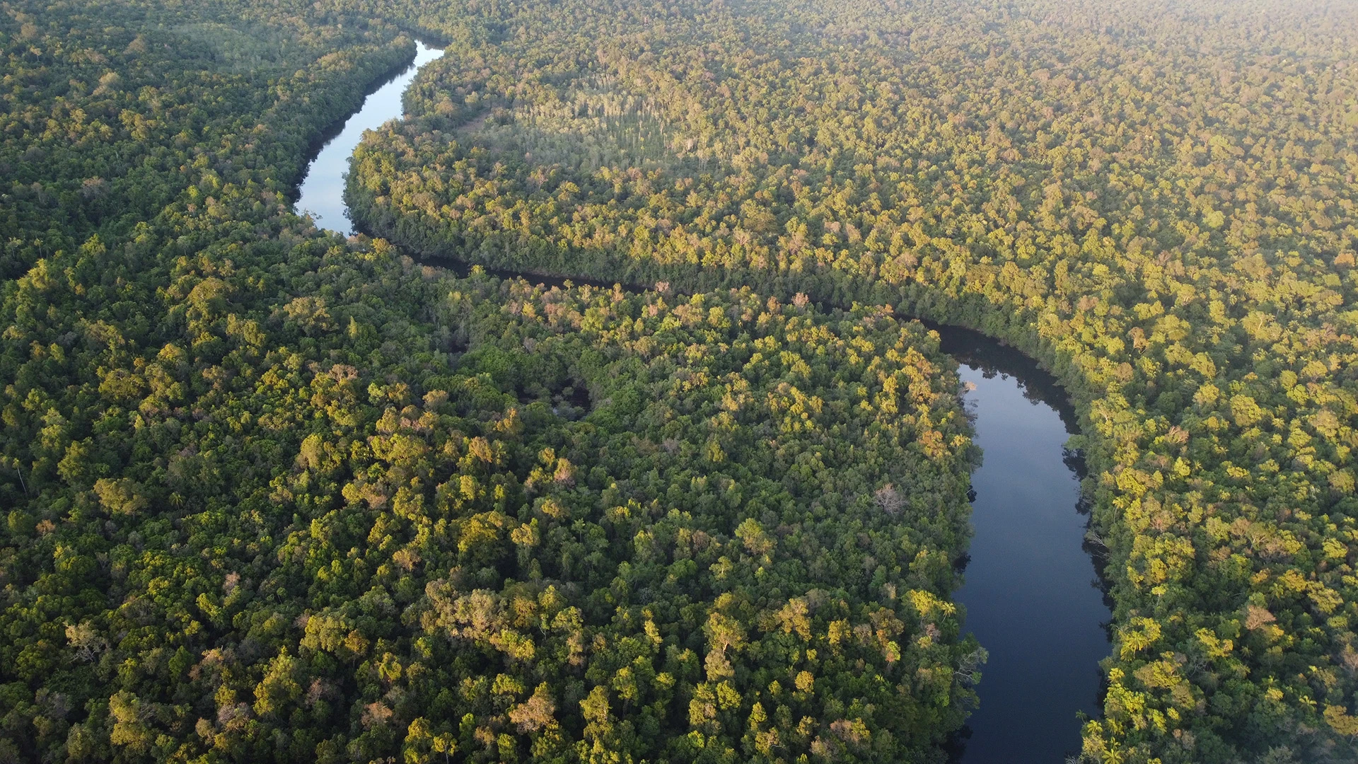 Aerial View Cardamom Cambodia