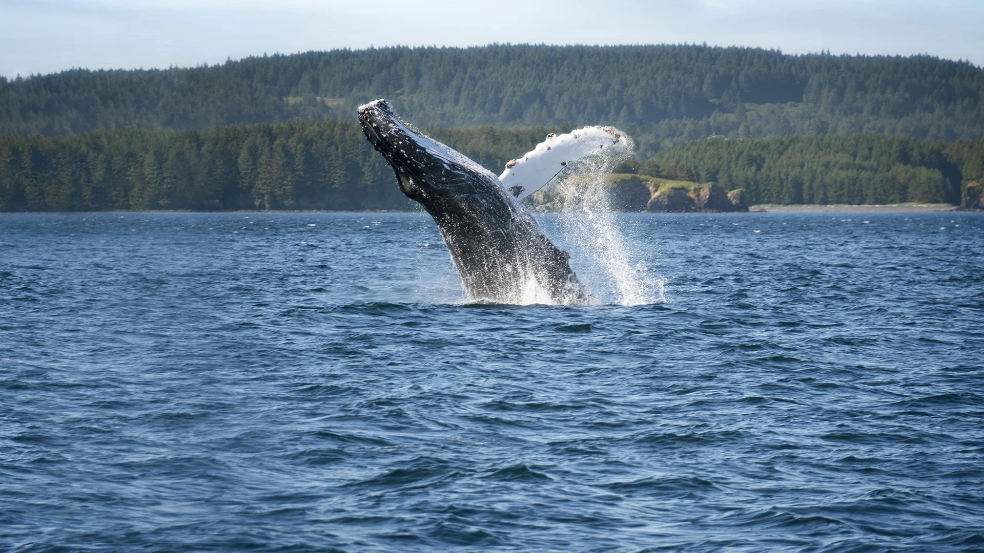 Inside Passage