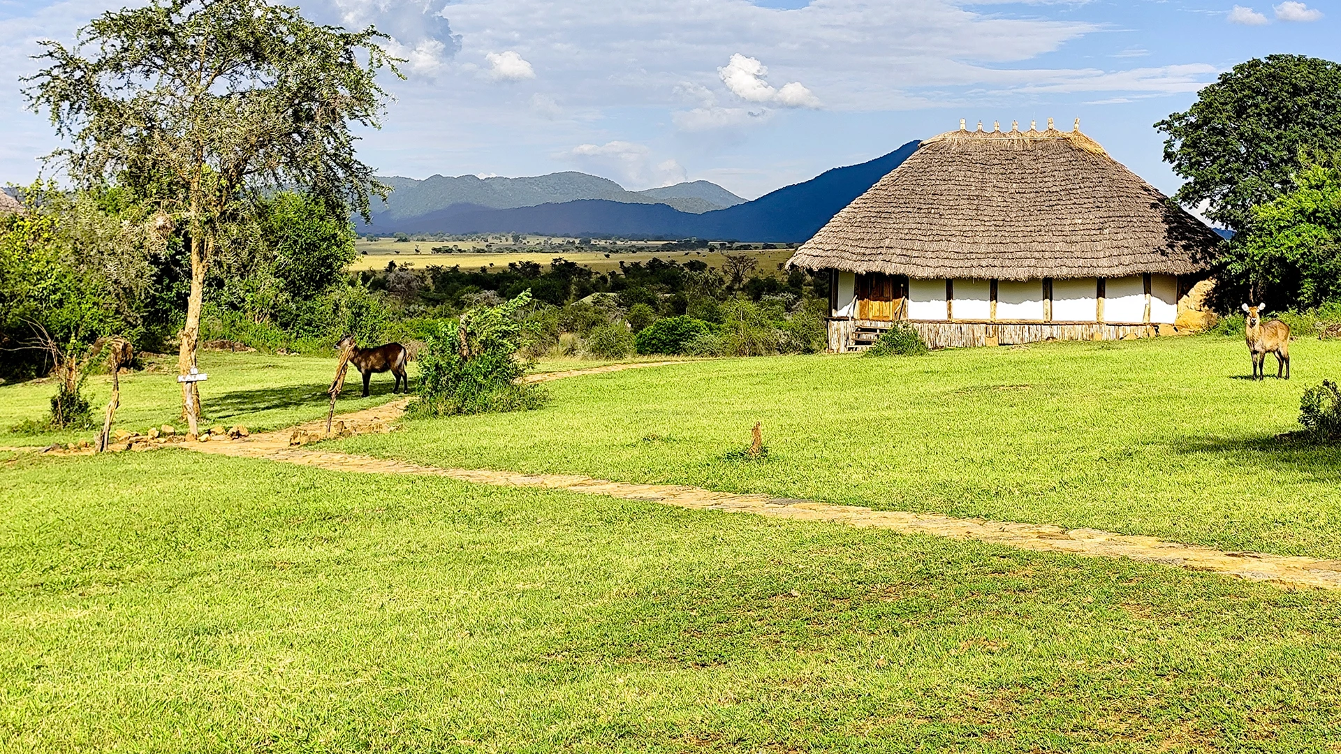 Kidepo Valley National Park 