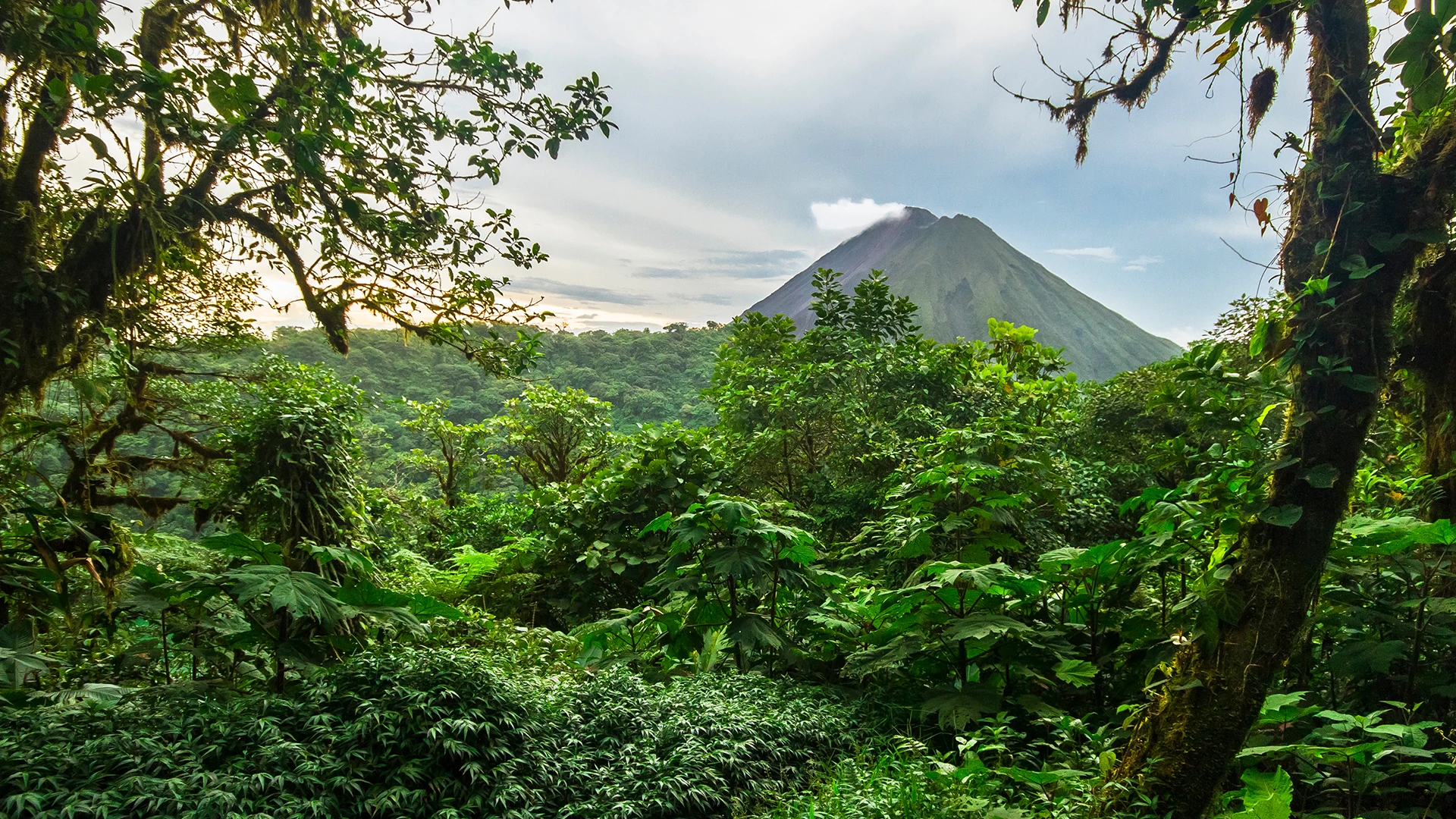 Arenal Volcano