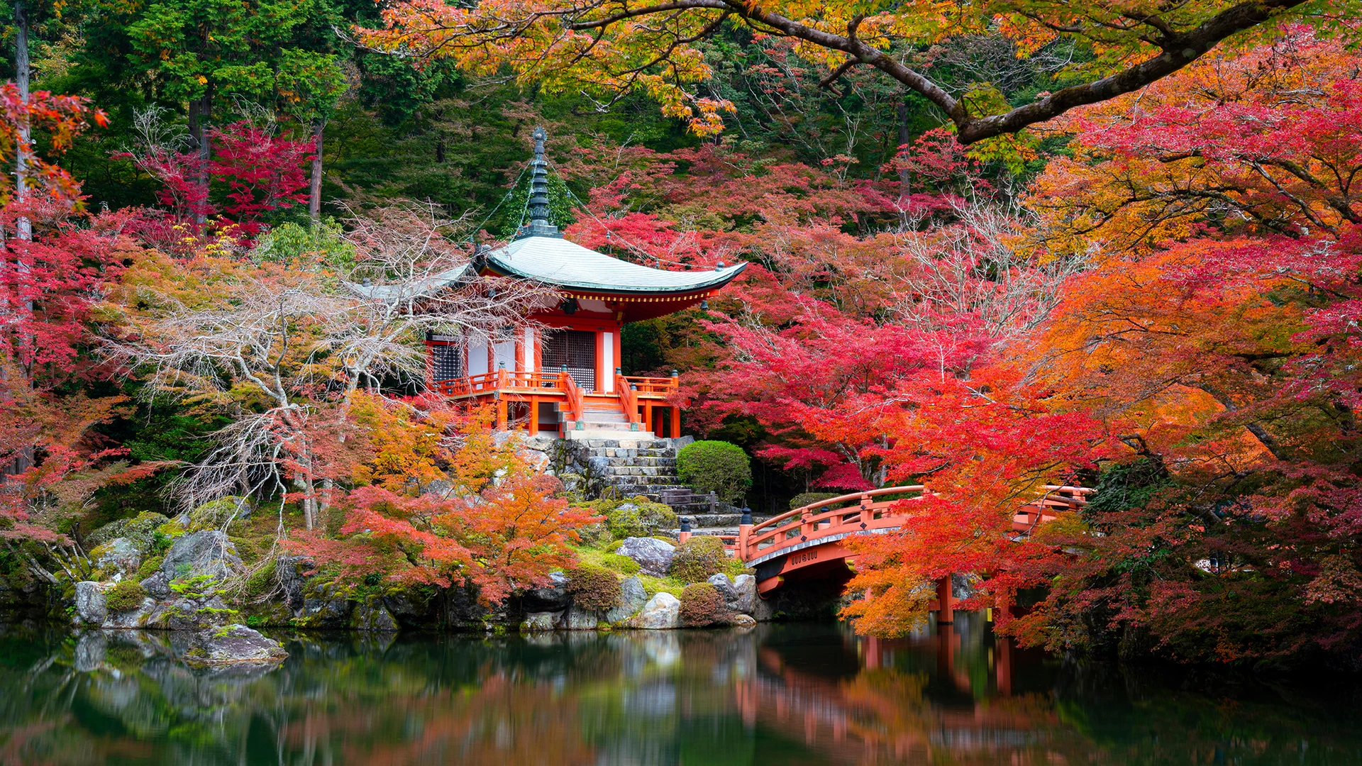 Autumn 