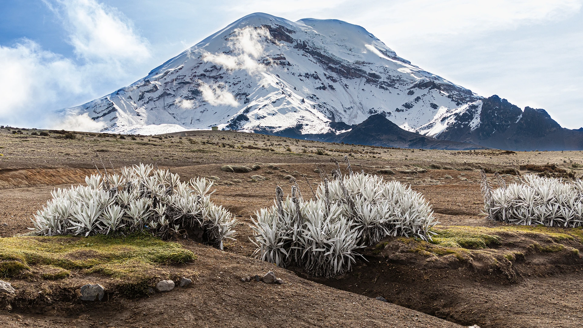 Avenue of the Volcanoes