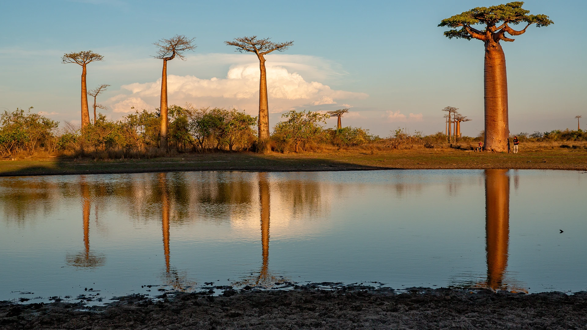 Tarangire National Park 