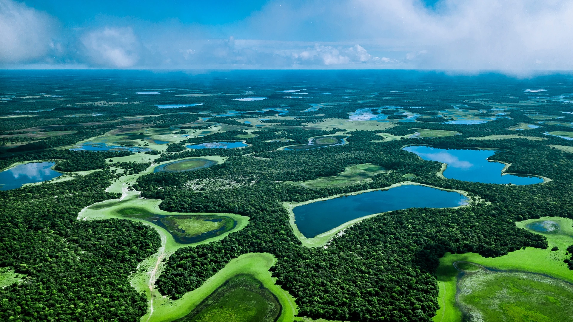 The Pantanal Wetlands