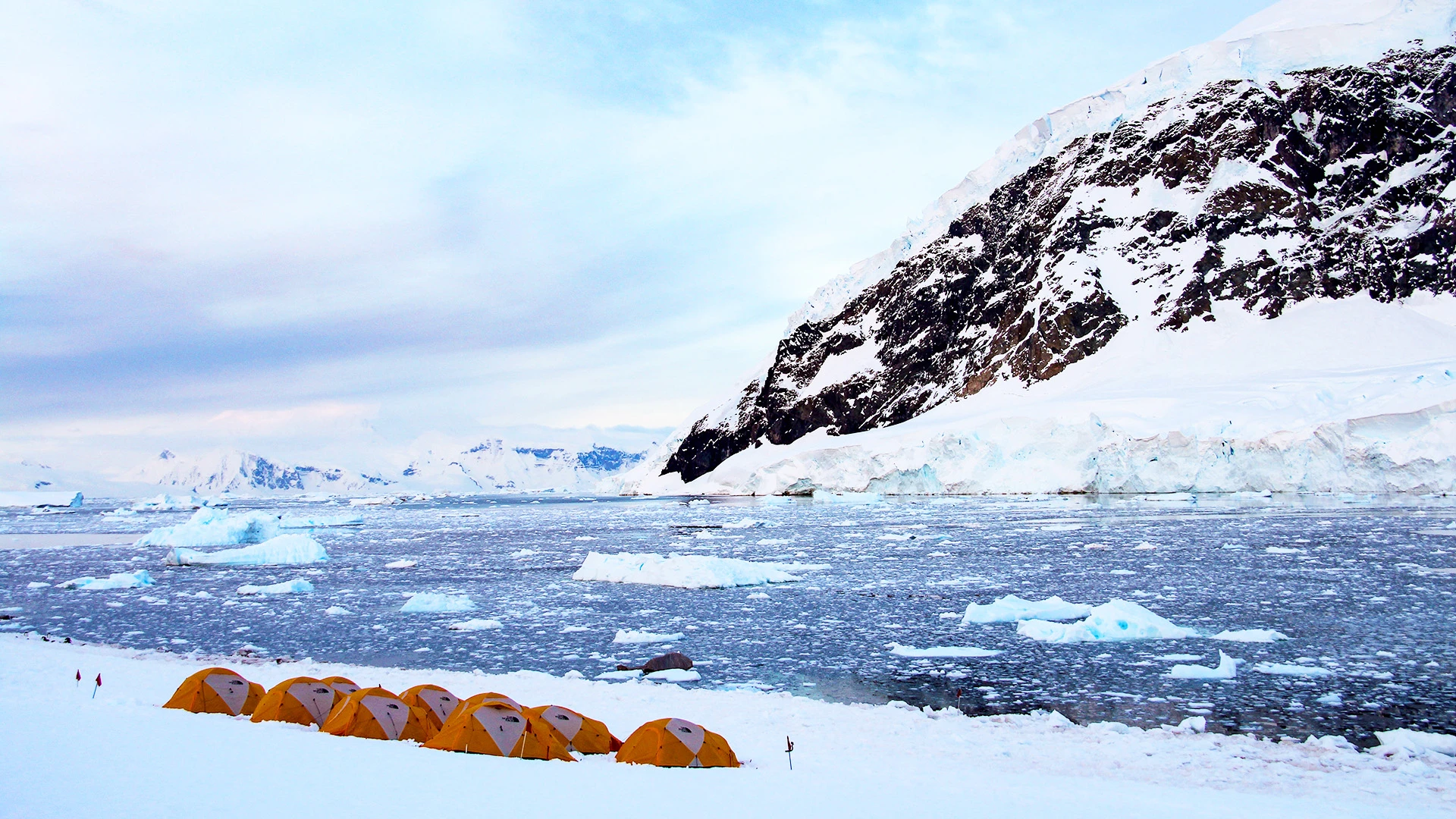 Antarctica Camping Adventure and Photo Workshop