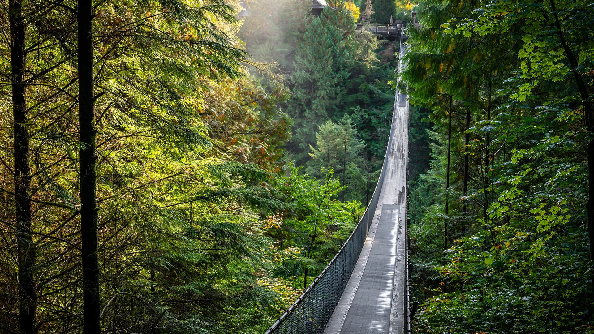 Capilano Suspension Bridge Vancouver British Columbia Canada