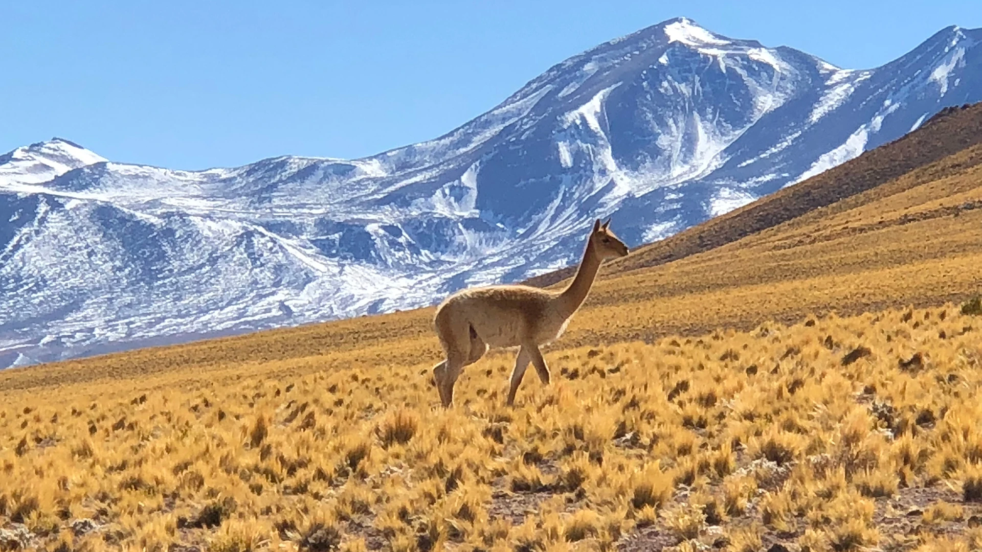 Chile