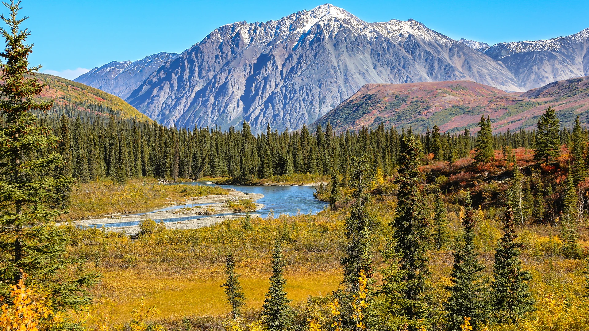 Denali National Park