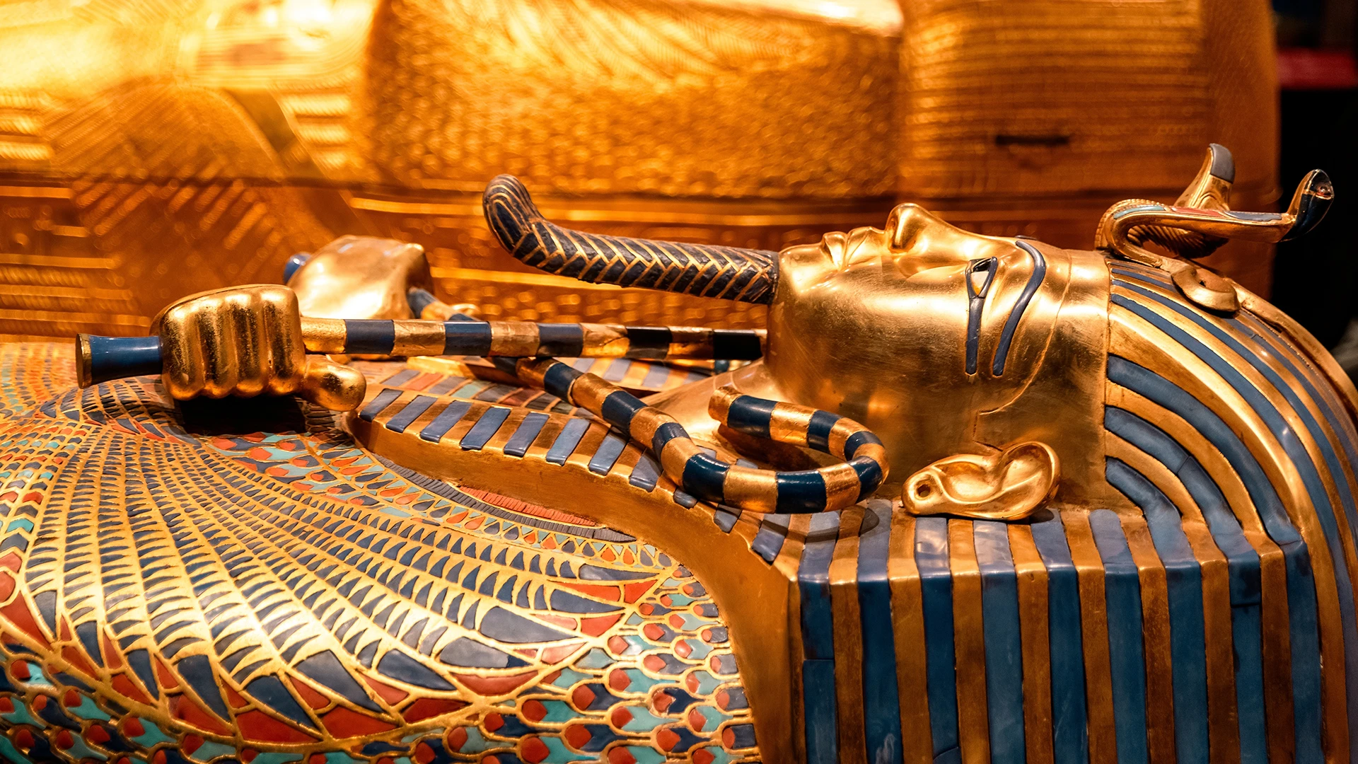 Egypt Expeditions