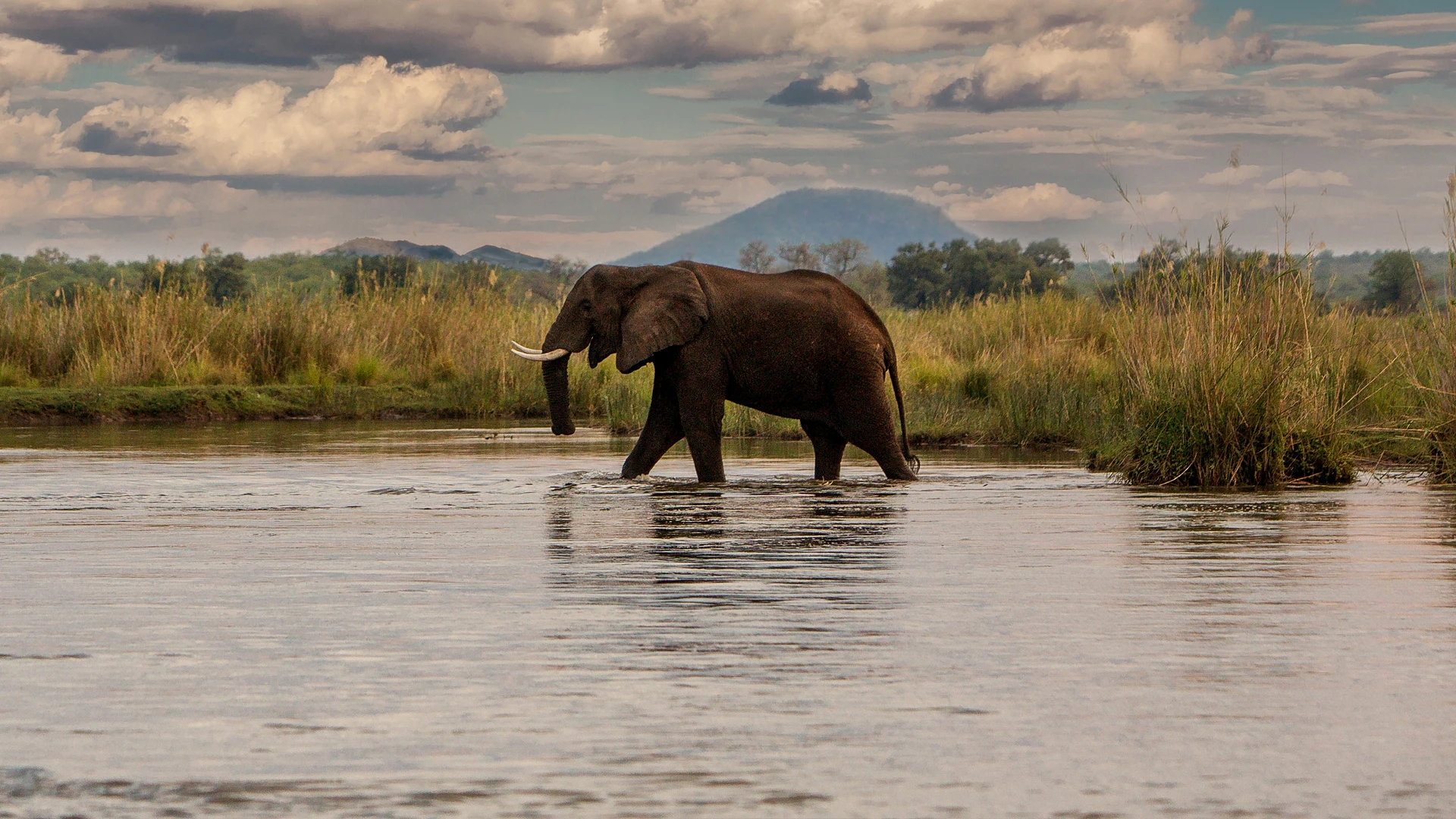Lower Zambezi National Park 