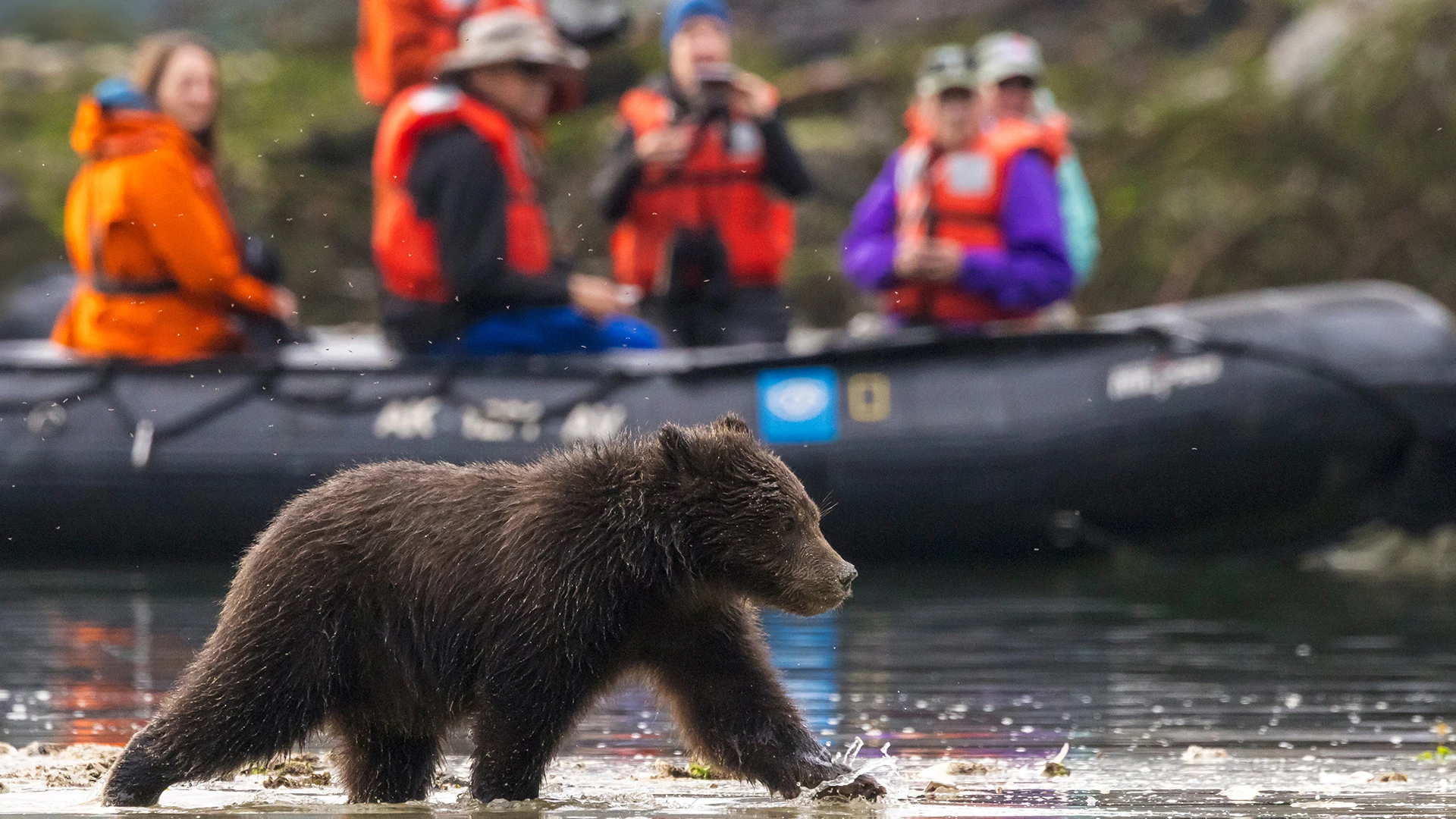 Exploring Southeast Alaska with Lindblad