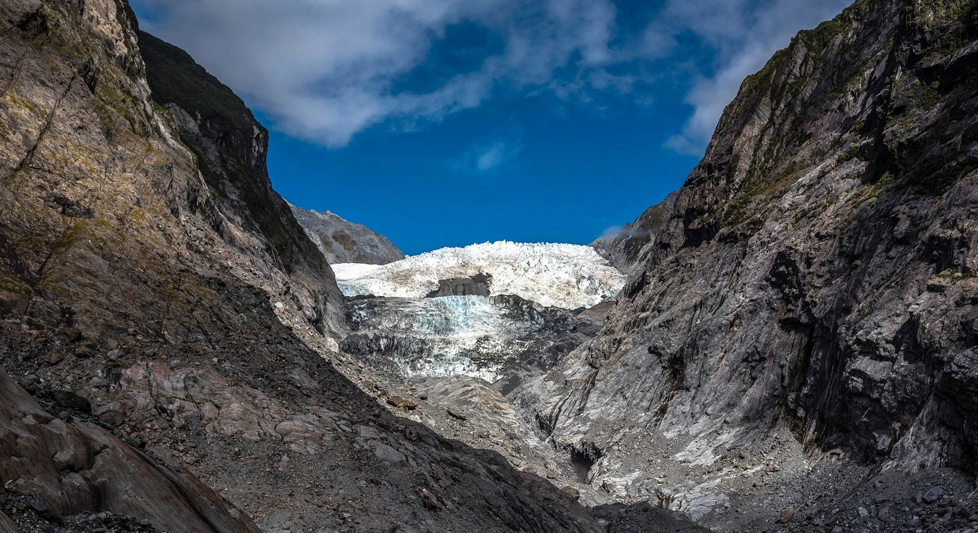 Fox Glacier trails
