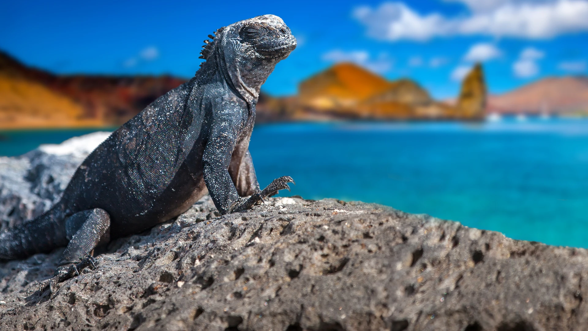 Galapagos Islands