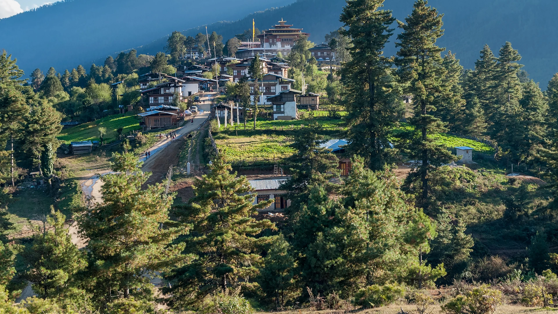 Phobjikha Valley (Gangtey) 