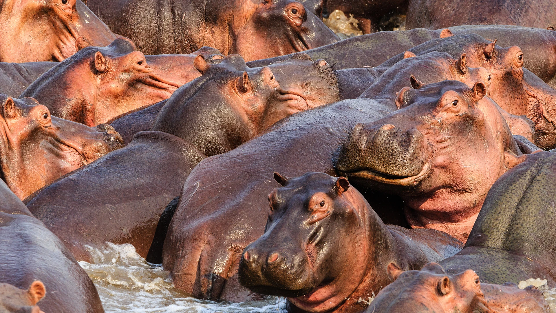 South Luangwa National Park 