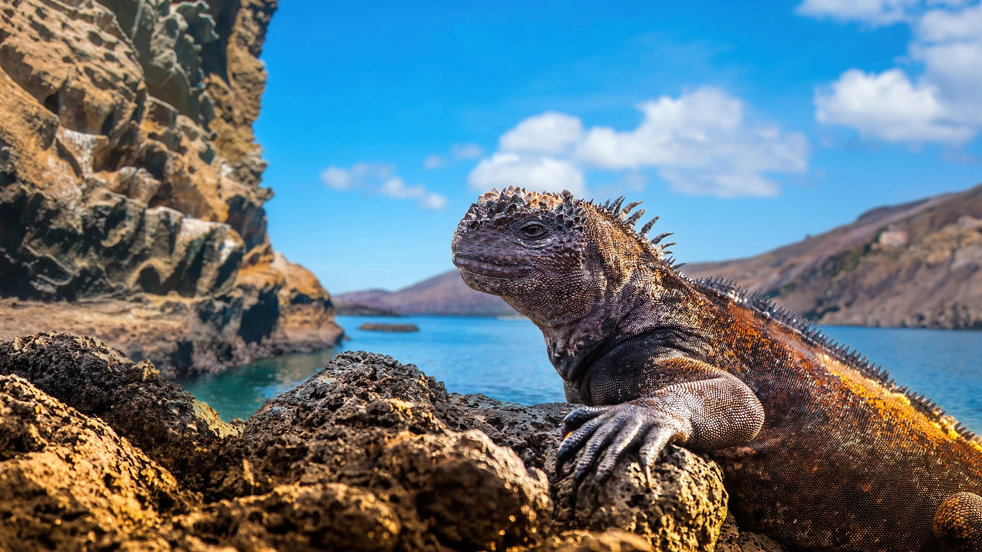 Ecuadorian Amazon and East Galapagos Adventure