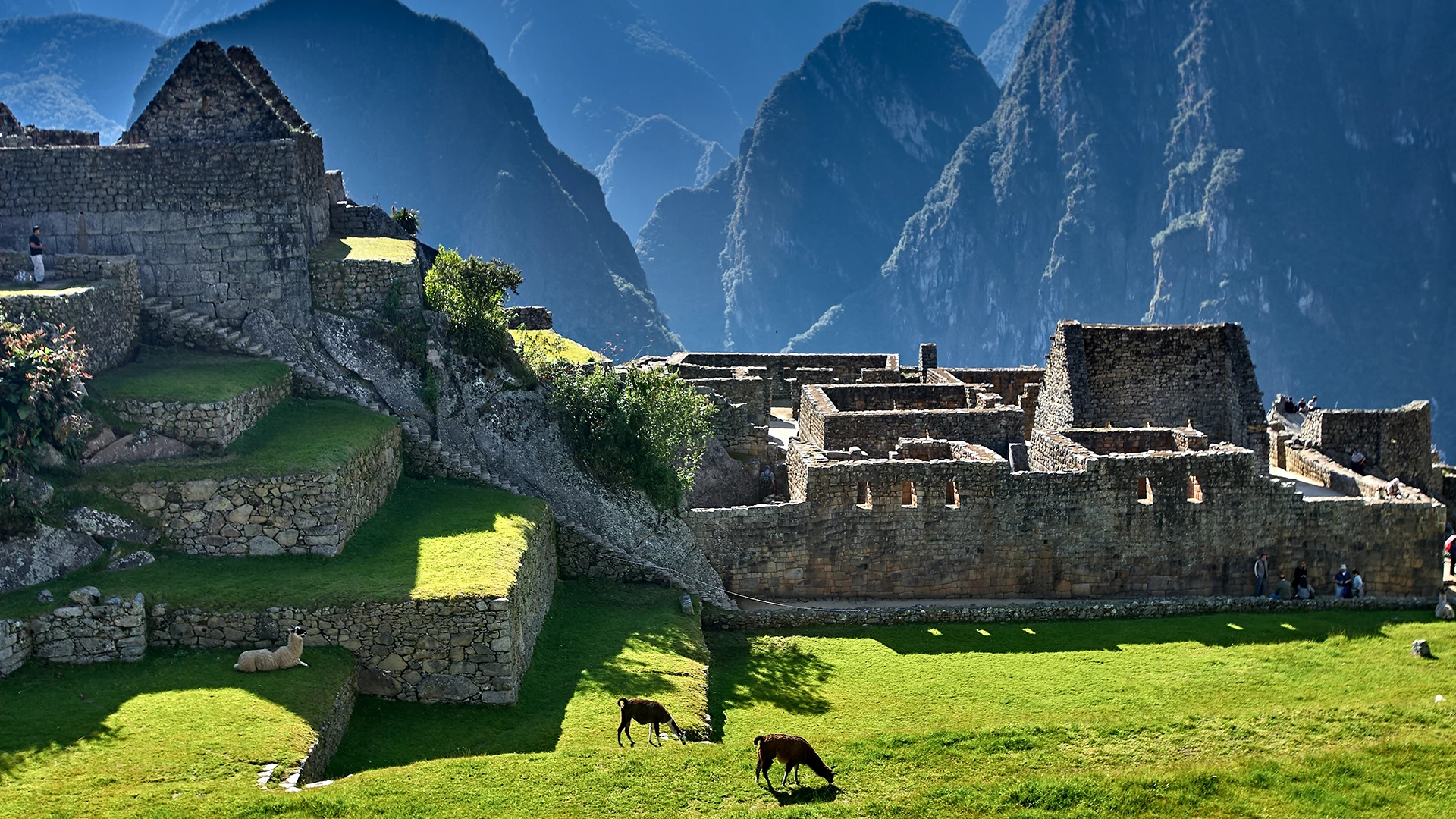 Interior Machu Picchu Peru