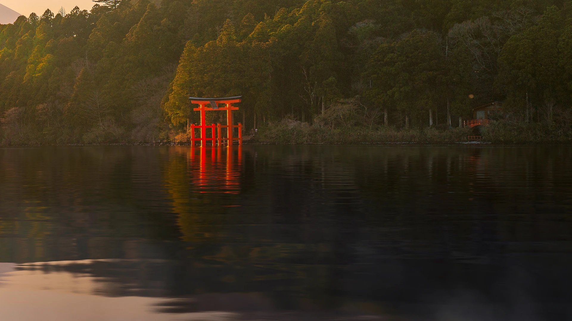 Mount Fuji & Hakone 