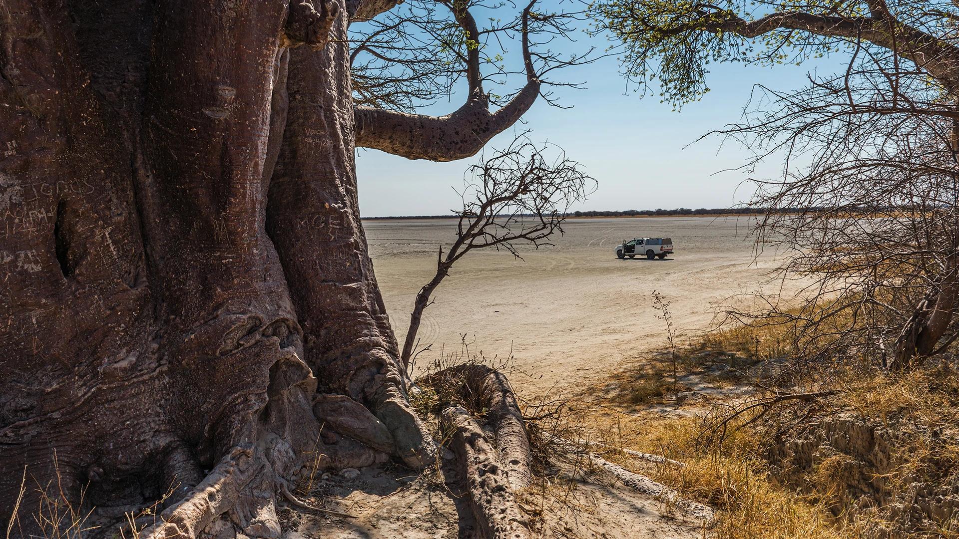Makgadikgadi Salt Pans 