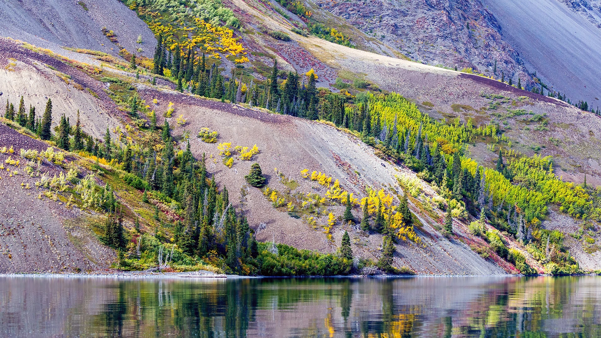 The Yukon