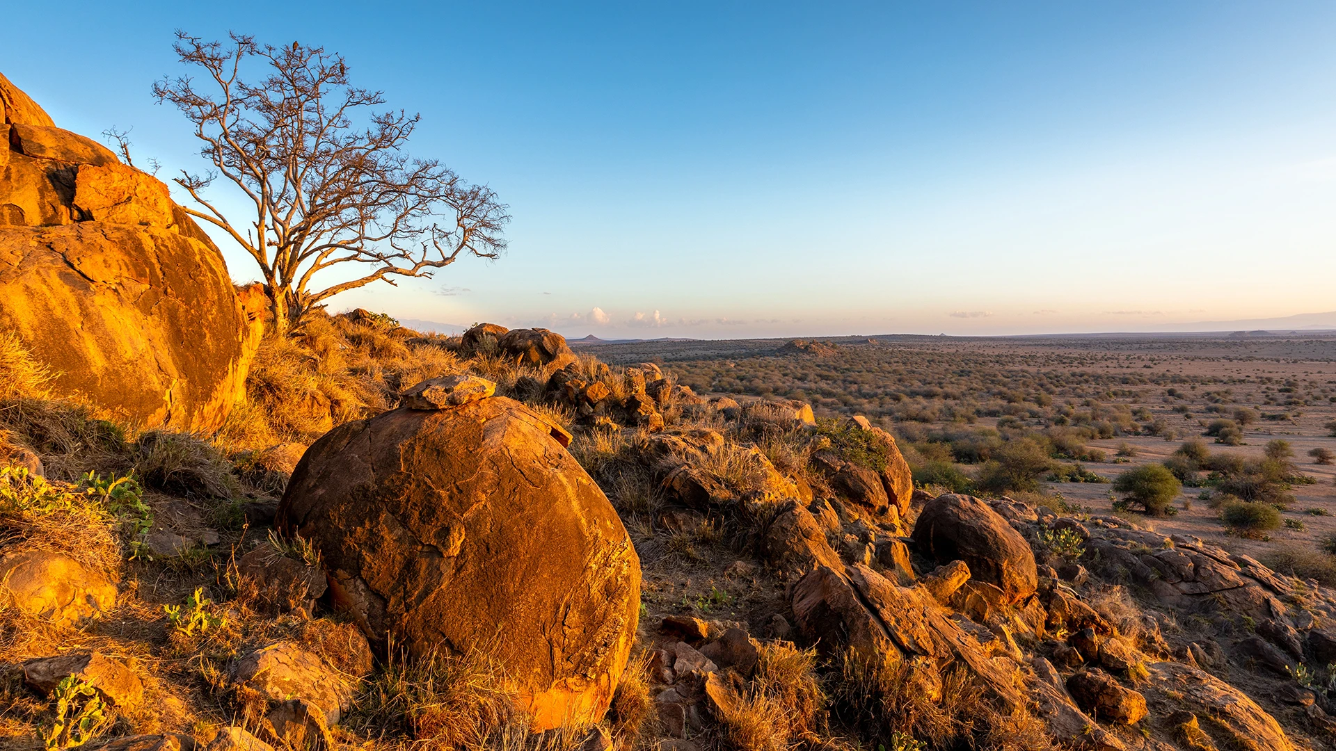 Laikipia Plateau 
