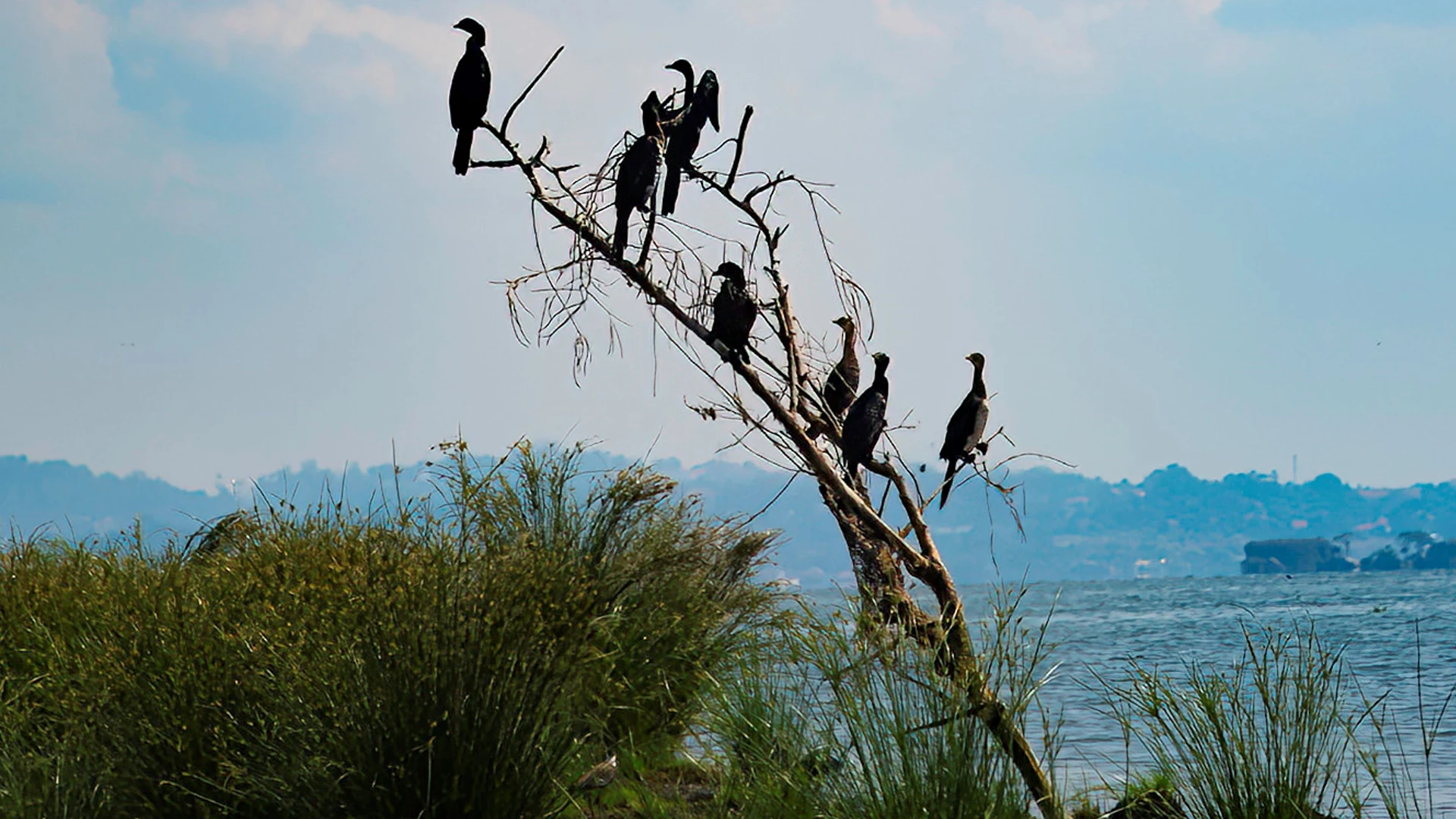 Entebbe & Lake Victoria 