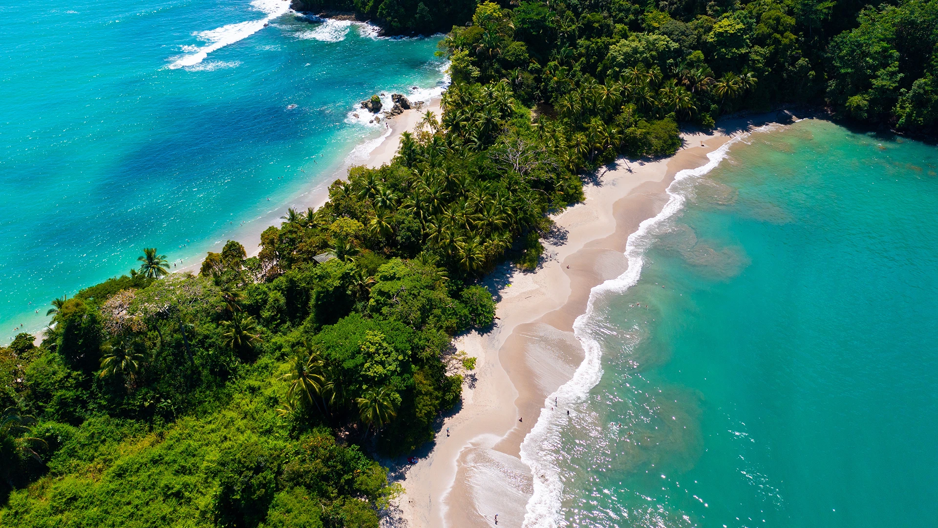 Manuel Antonio