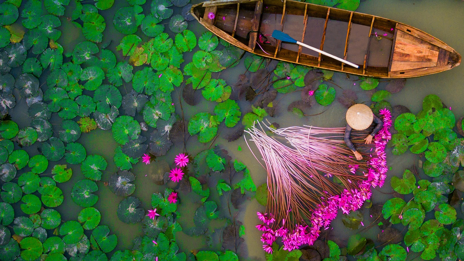 Mekong Delta AmaWaterways