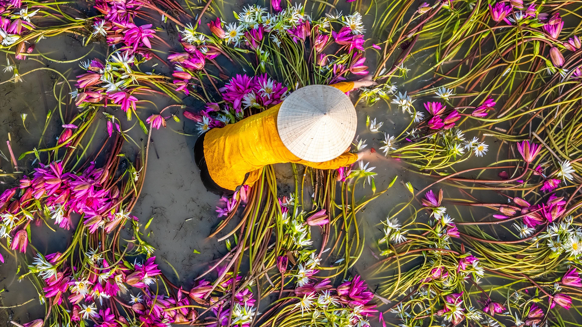 Mekong Discovery: From Angkor to Ho Chi Minh