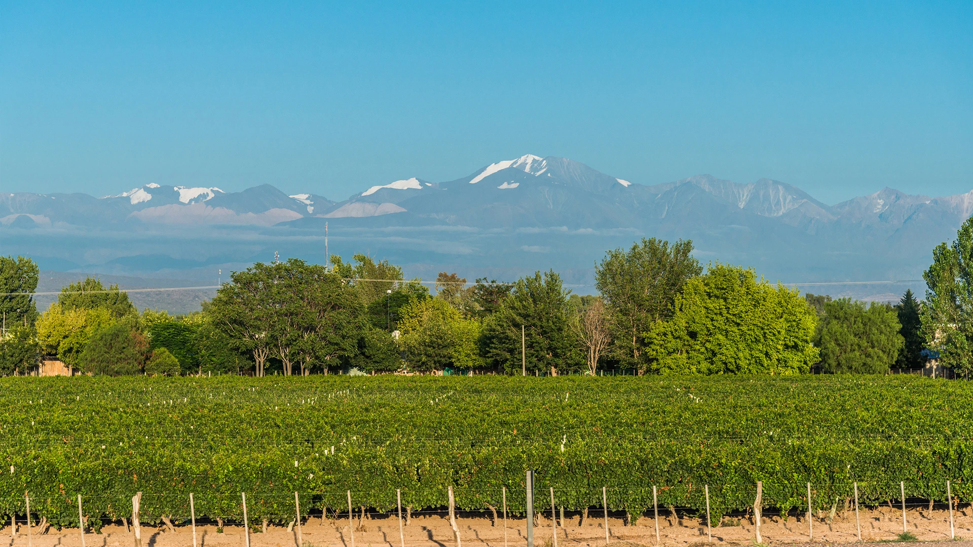 Mendoza Wine Region