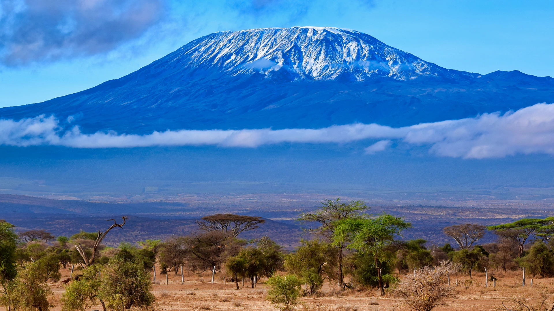 Mount Kilimanjaro 