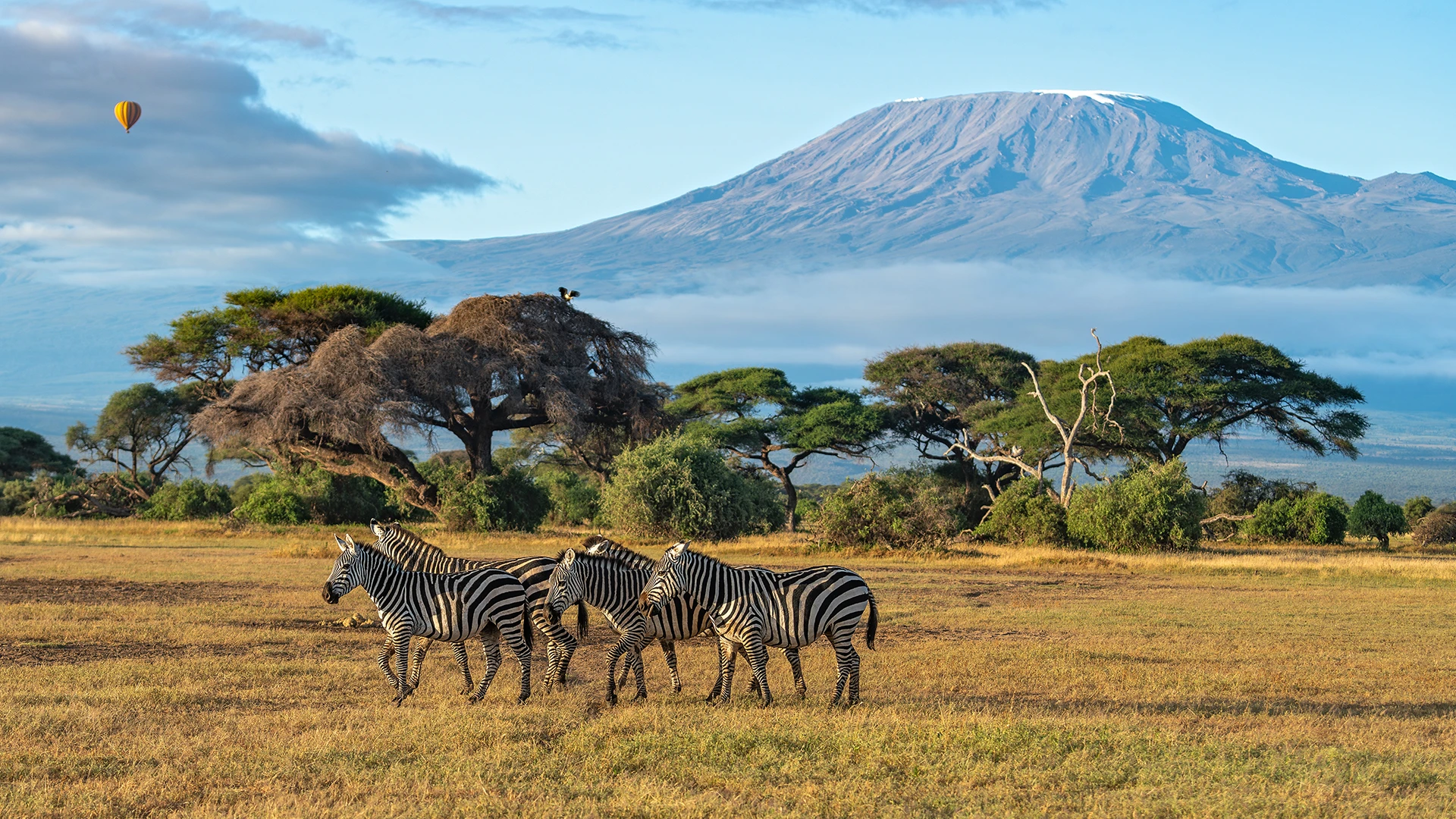 Tanzania Safari: Tarangire, Serengeti and Ngorongoro
