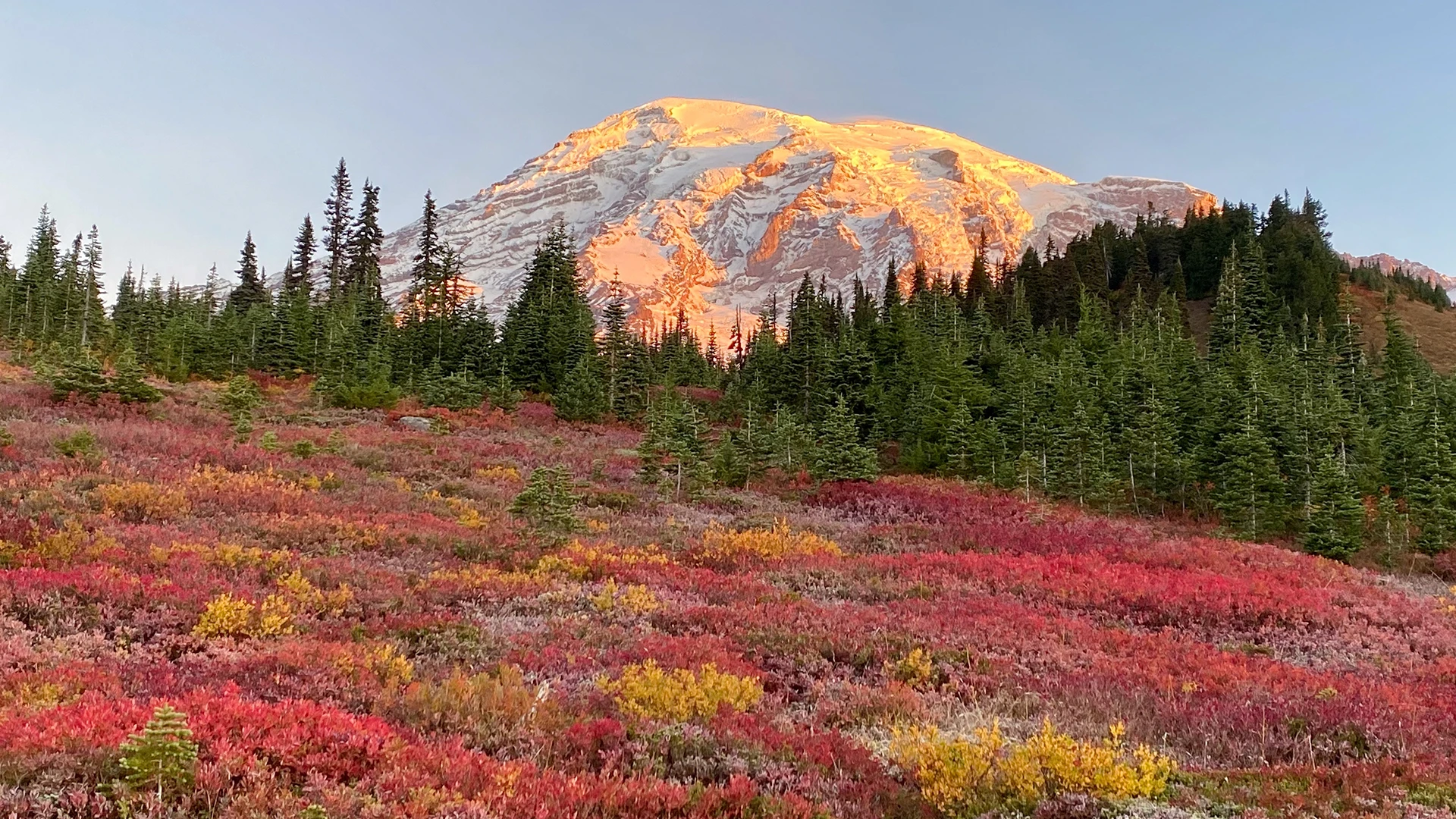 Alaska's Inside Passage: Untamed Wilderness
