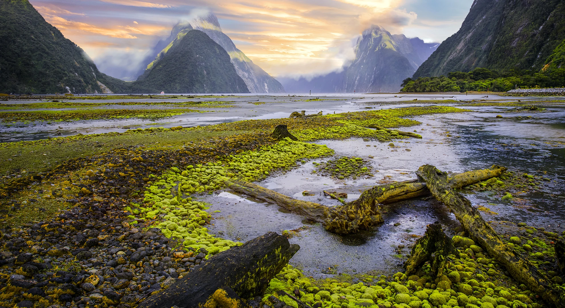 Fiordland National Park