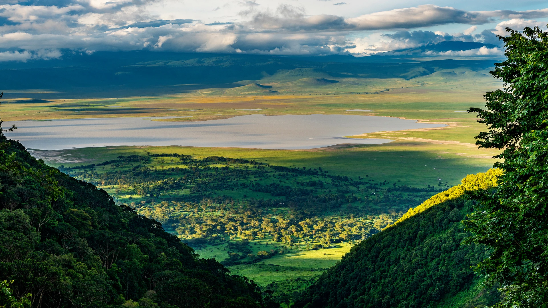 Ngorongoro Crater 