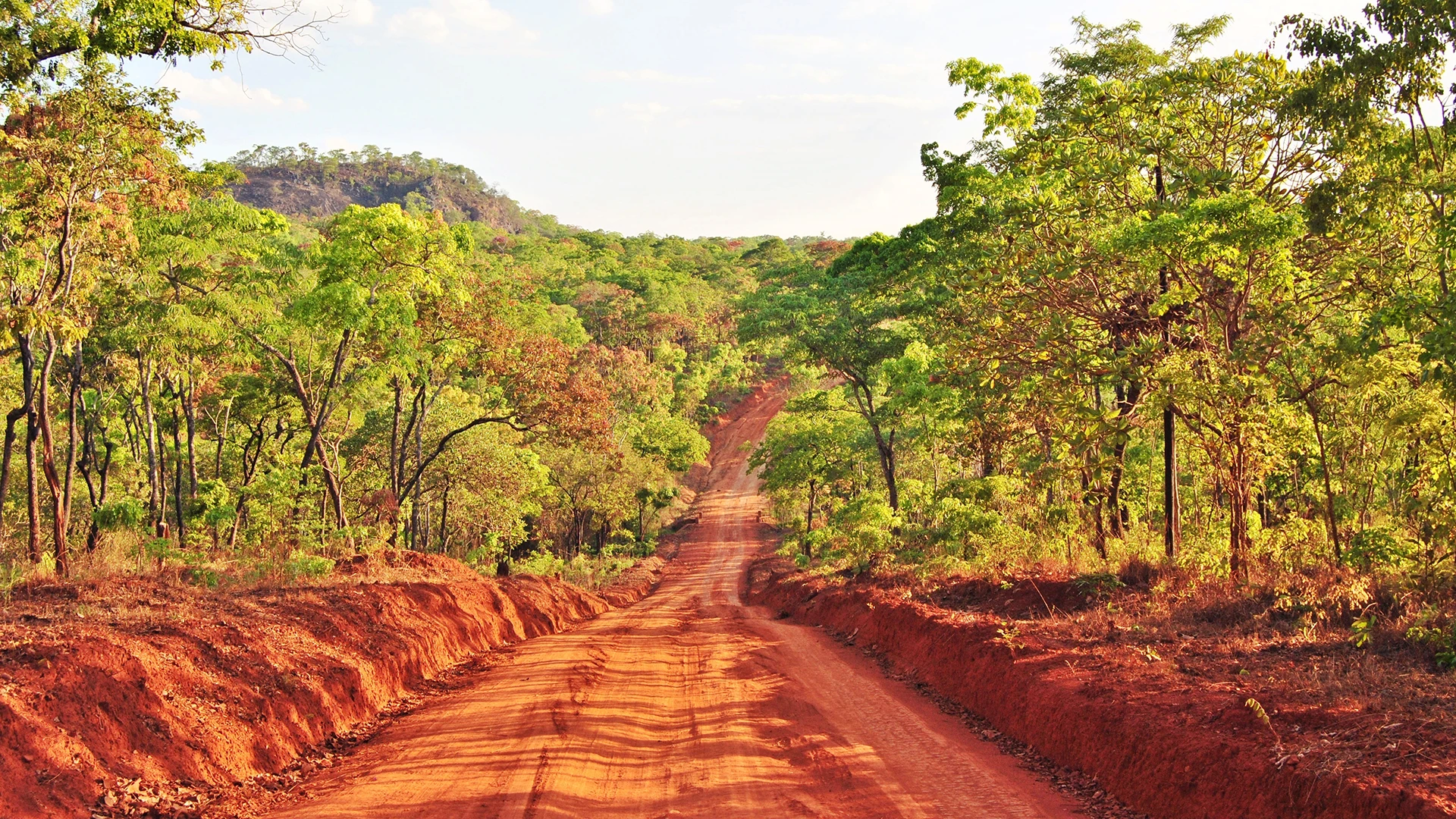 The Nissa Reserve