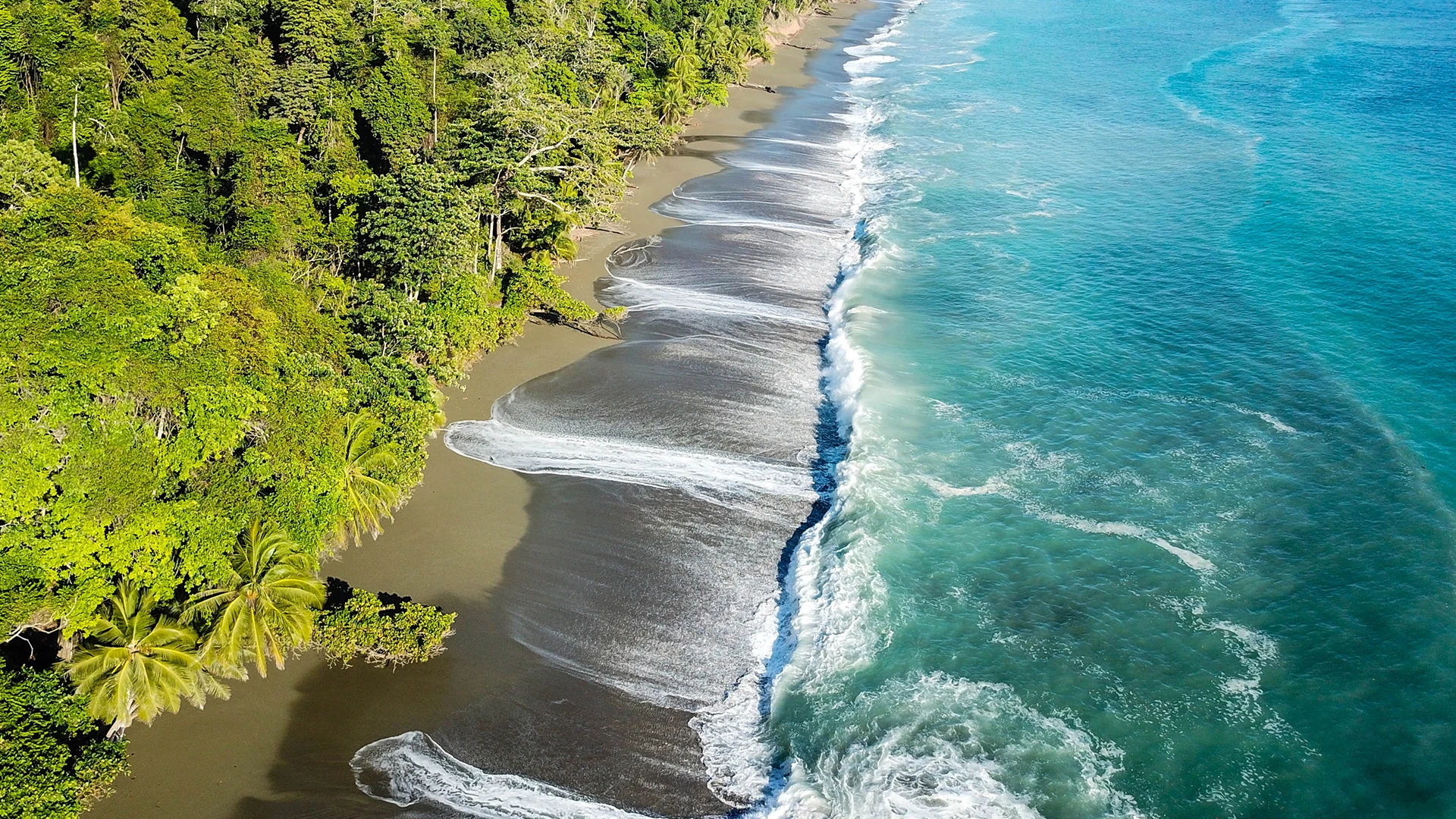 Osa Peninsula