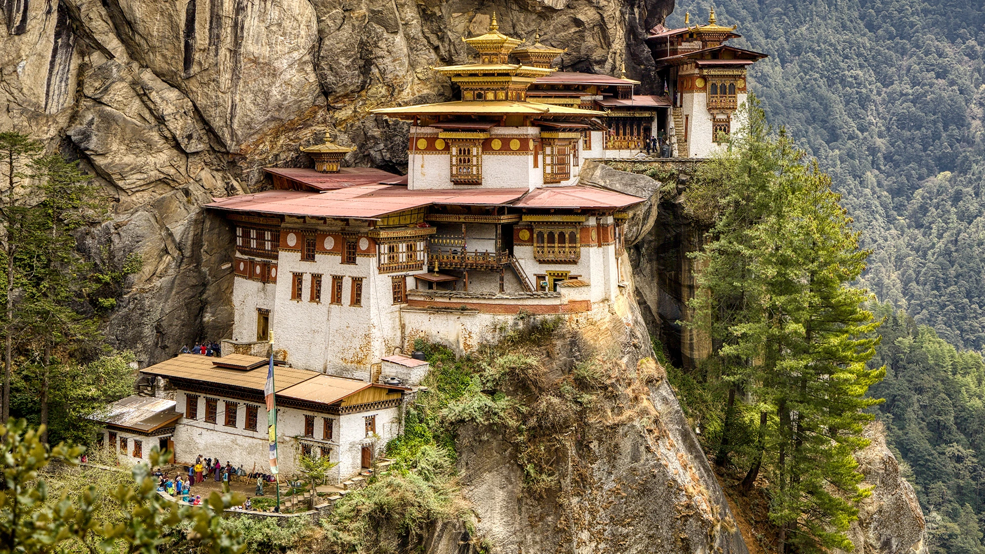 Paro Valley 