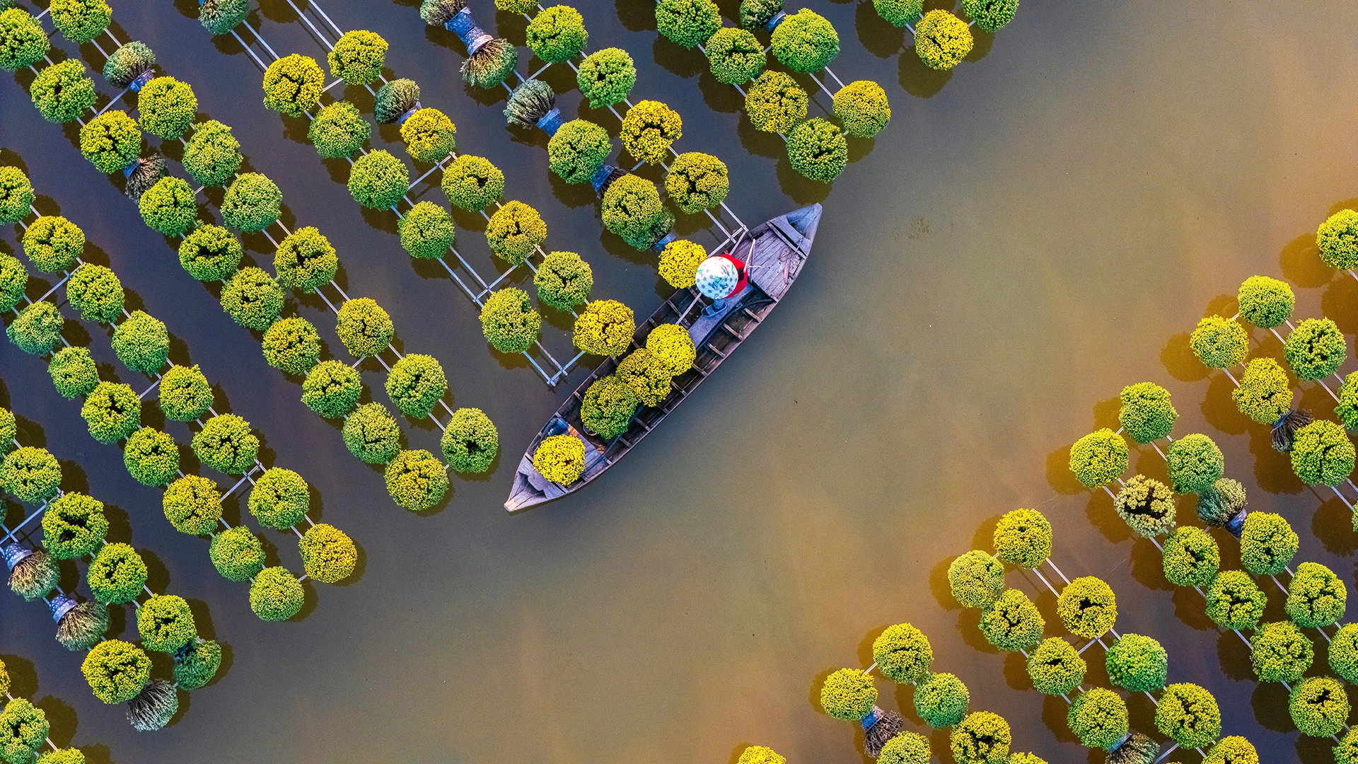 Luxury Vietnam and Cambodia: Mekong River Cruise