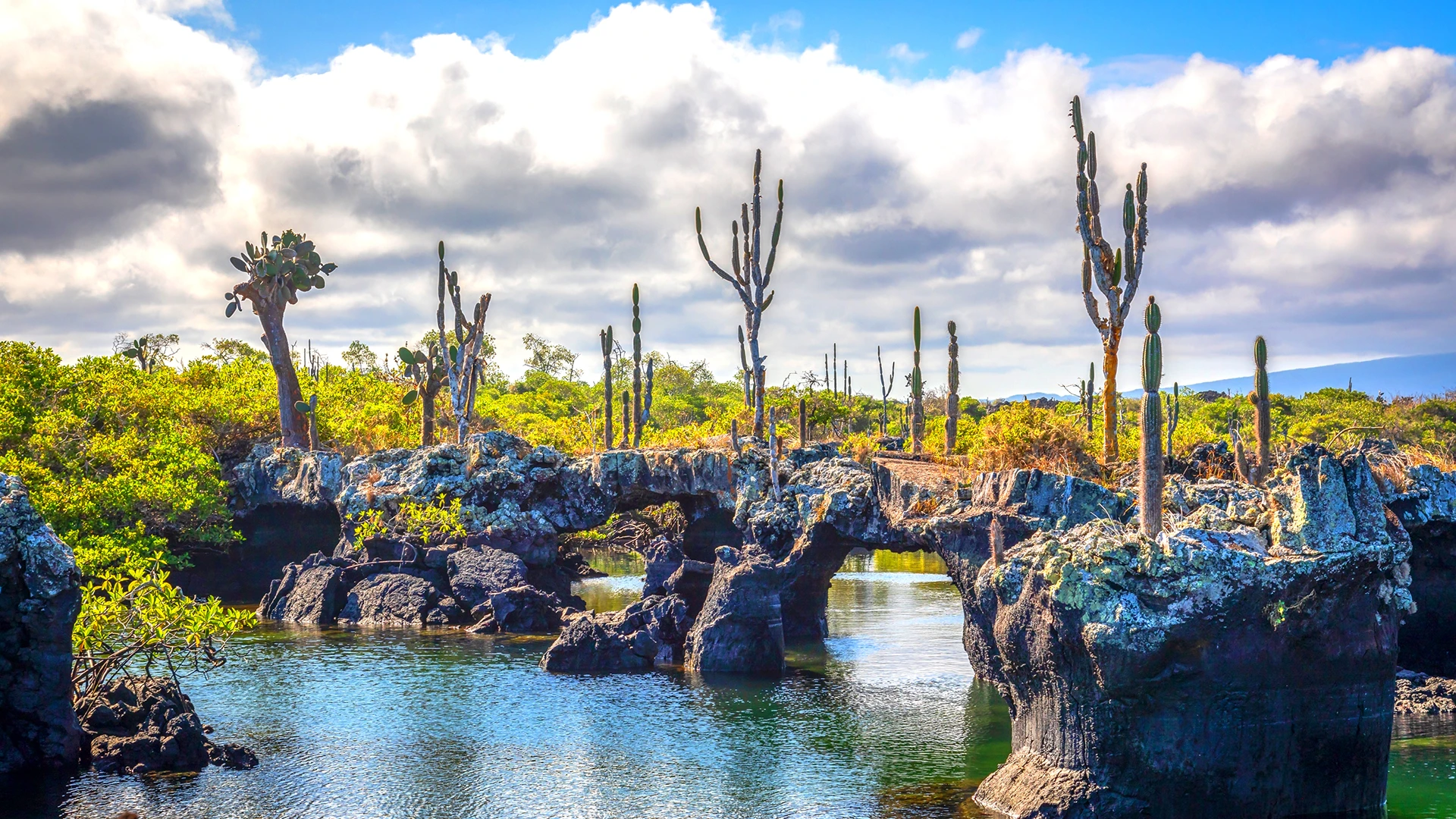 Santa Cruz Island Galapagos