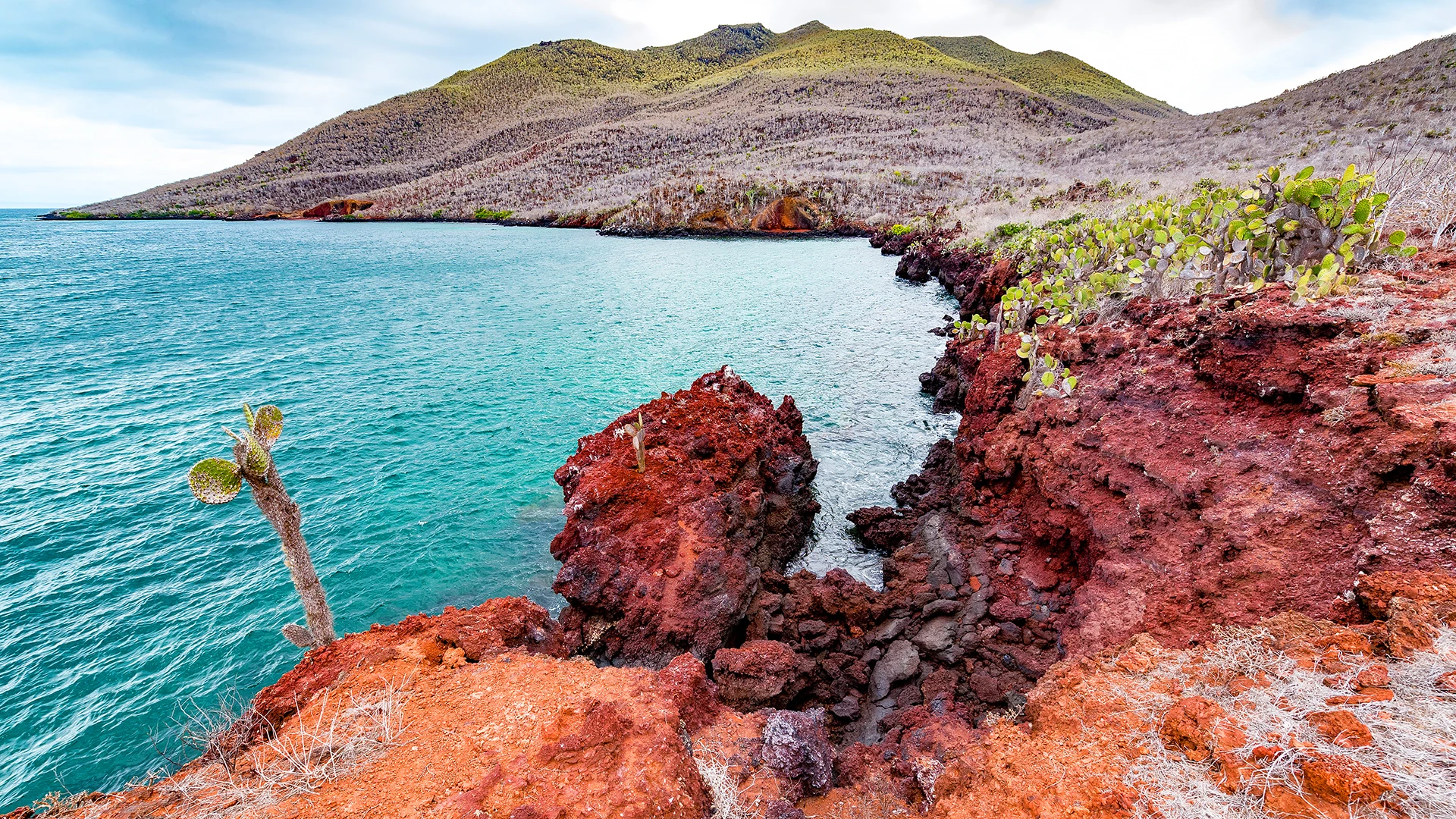 Santiago Island Galapagos
