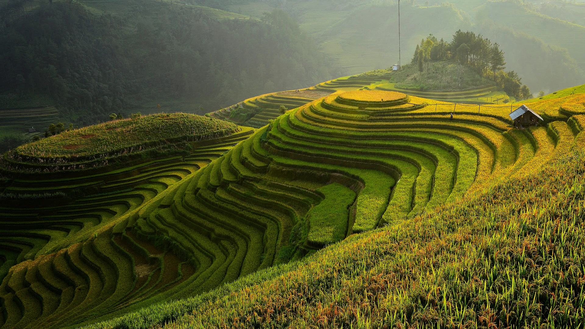Sapa & The Northern Highlands