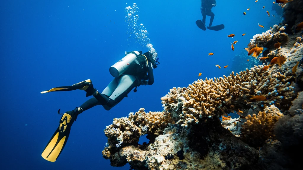 Scuba diving certification guide