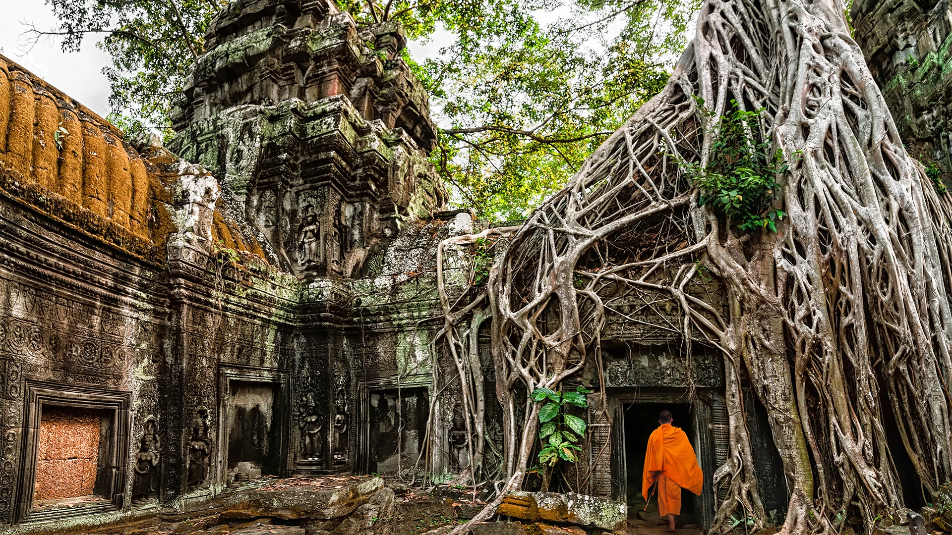 Siem Reap Cambodia