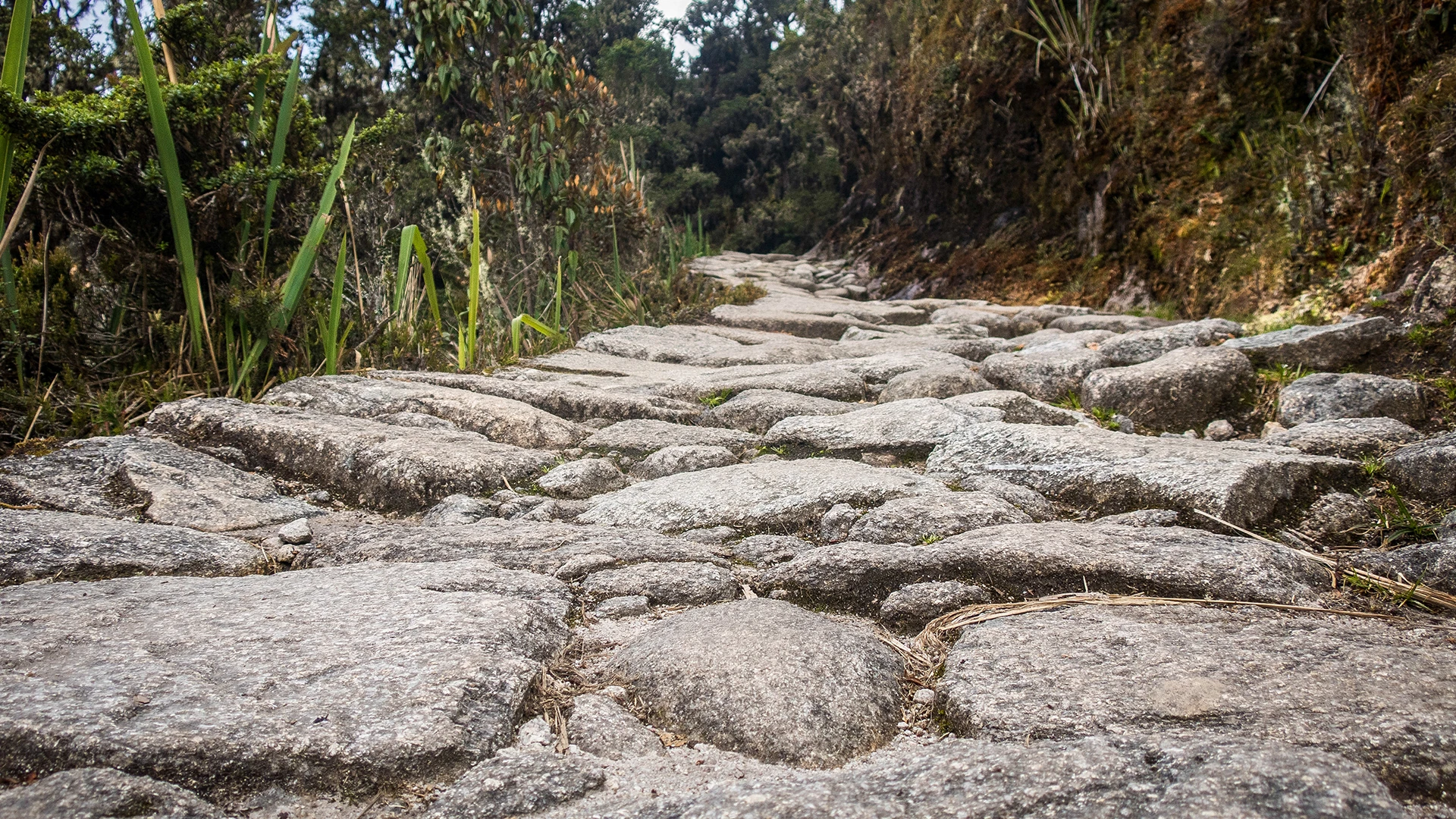 The Inca Trail