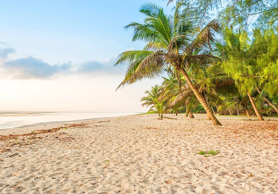 The Kenyan Coast (Watamu & Lamu) 