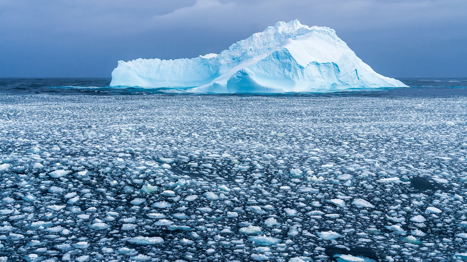 Ross Sea